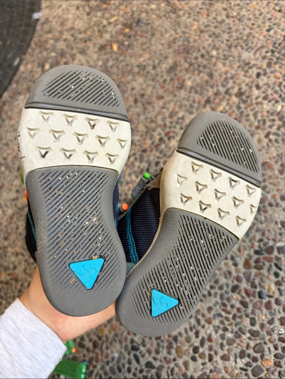 PLAE Navy and Gray Toddler Sneakers with Teal and Lime Accents